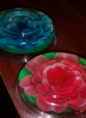 /album/gelatina-artistica/imagen5-png/